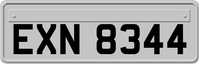 EXN8344