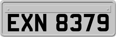EXN8379