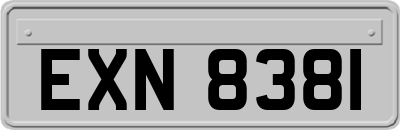 EXN8381