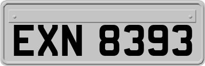 EXN8393