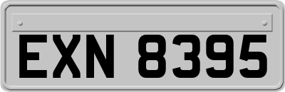 EXN8395