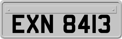 EXN8413