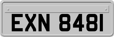 EXN8481
