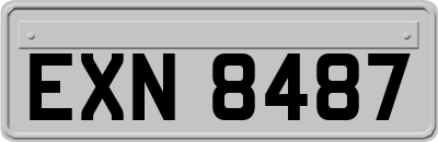 EXN8487
