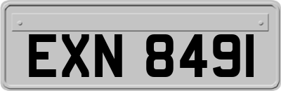 EXN8491