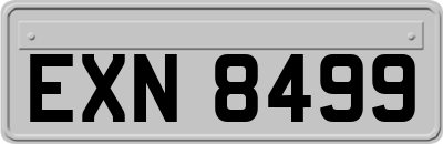 EXN8499