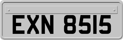 EXN8515