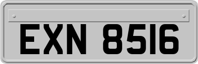EXN8516