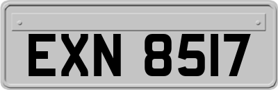 EXN8517