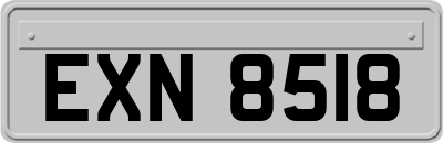 EXN8518