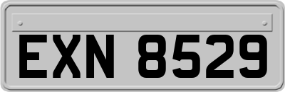 EXN8529