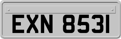EXN8531