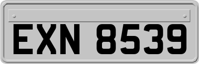 EXN8539