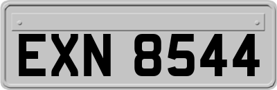 EXN8544