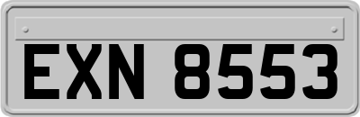 EXN8553