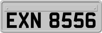 EXN8556