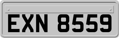 EXN8559