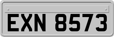 EXN8573