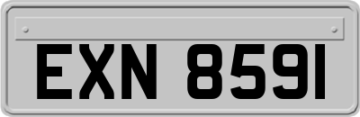 EXN8591