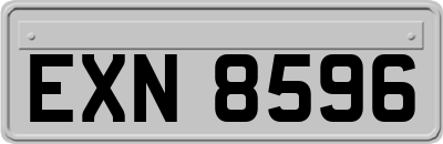 EXN8596
