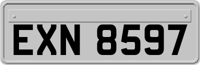 EXN8597