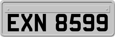 EXN8599