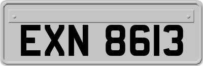 EXN8613