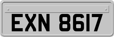 EXN8617