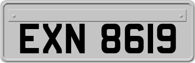 EXN8619