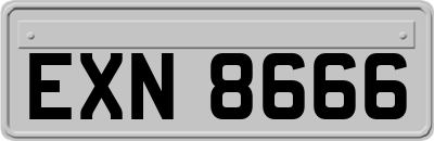 EXN8666