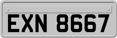 EXN8667