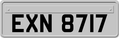 EXN8717