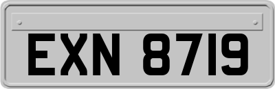 EXN8719