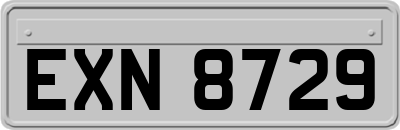 EXN8729