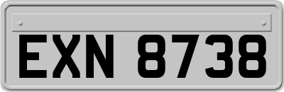 EXN8738