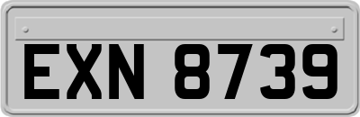 EXN8739