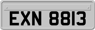 EXN8813
