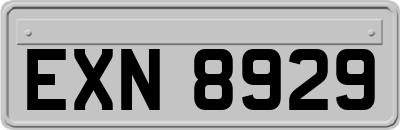 EXN8929