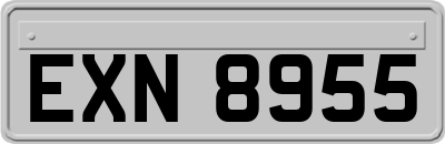 EXN8955
