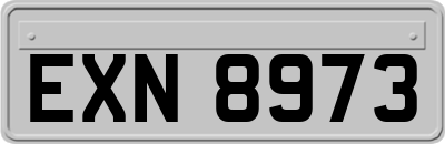EXN8973