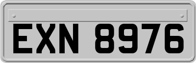 EXN8976