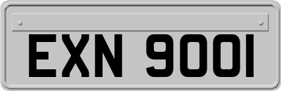 EXN9001