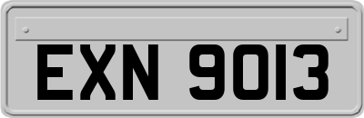 EXN9013