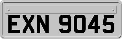 EXN9045