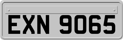EXN9065