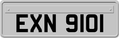 EXN9101