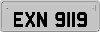 EXN9119
