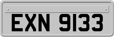 EXN9133
