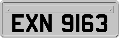 EXN9163