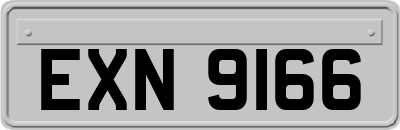 EXN9166